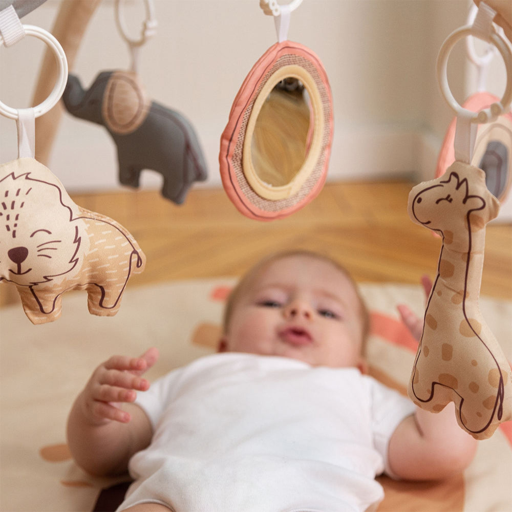 Baby Gym with Activities Rainbow