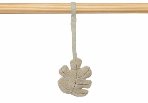 Babygym Toys - Roarsome