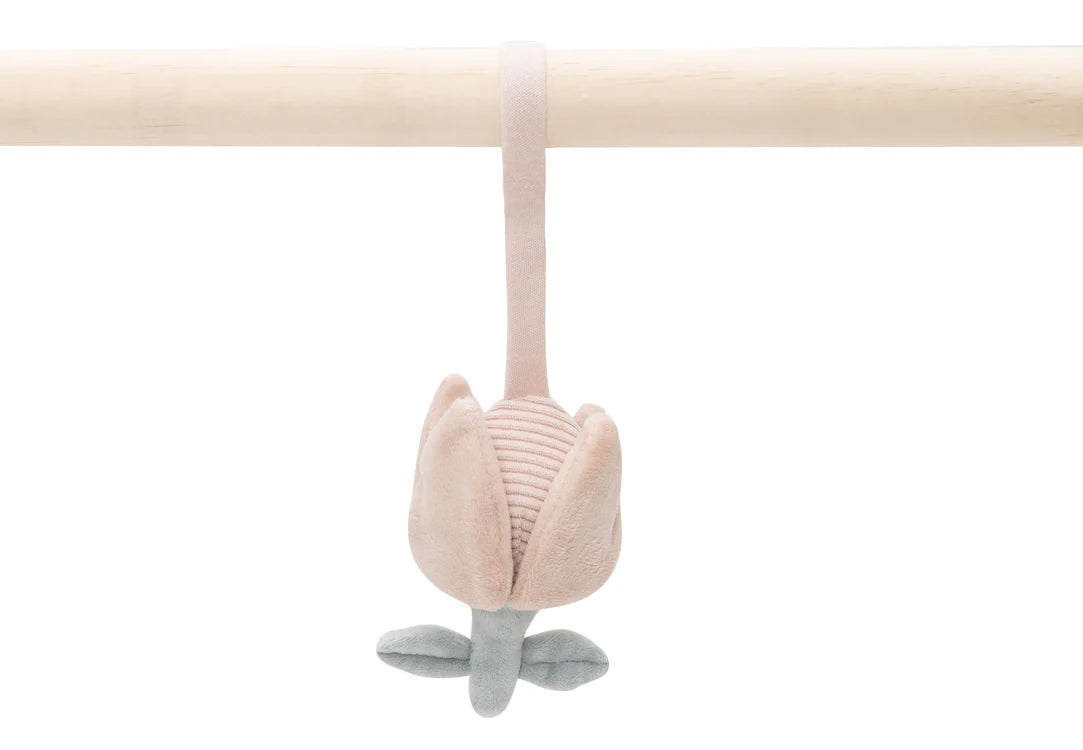 Babygym Toys - Lovely Birds