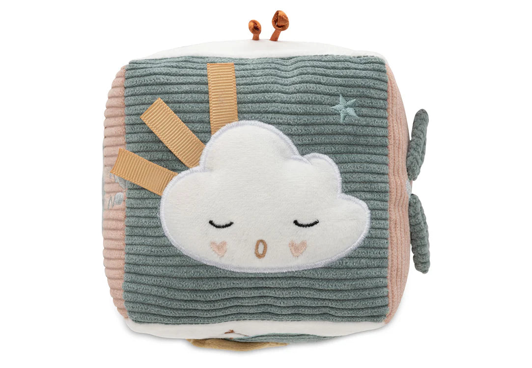 Activity Cube - Lovely Birds