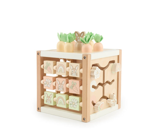Motor Skills Cube Fine