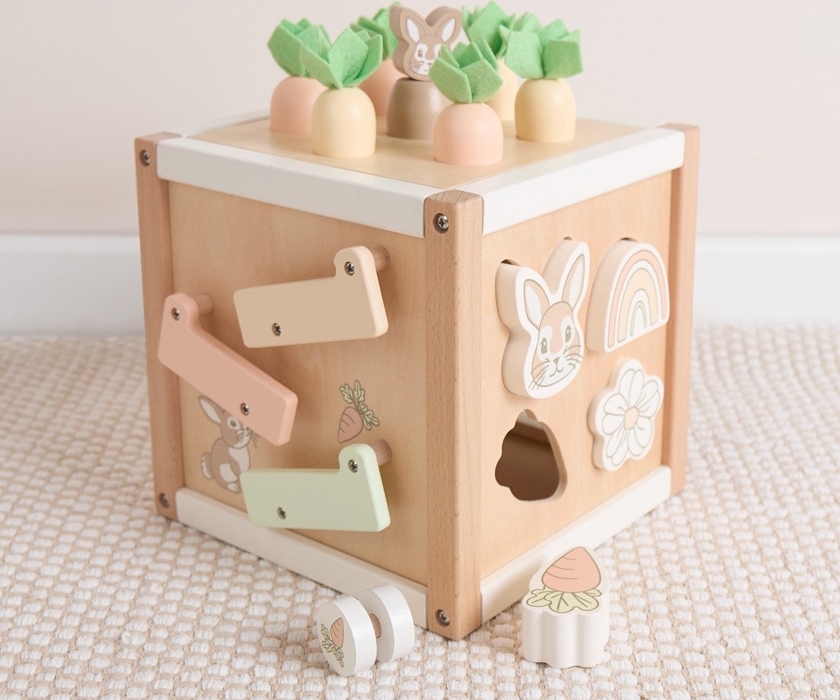 Motor Skills Cube Fine