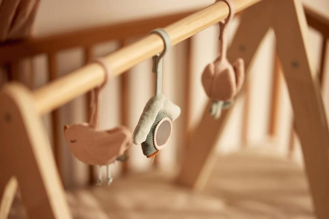 Babygym Toys - Lovely Birds
