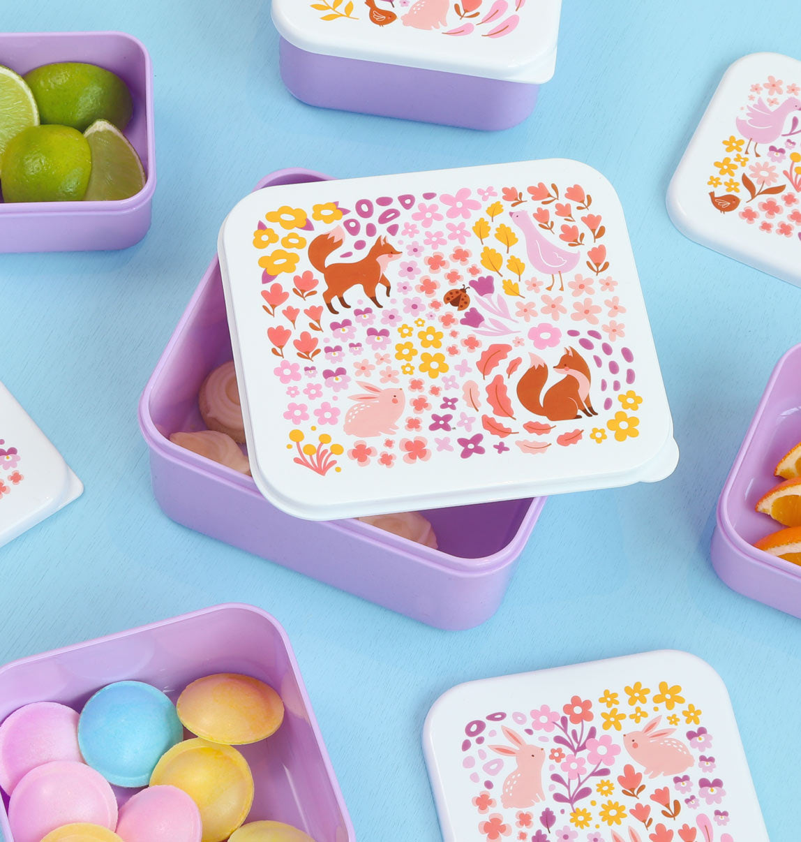 Lunch & Snack Box Flower garden