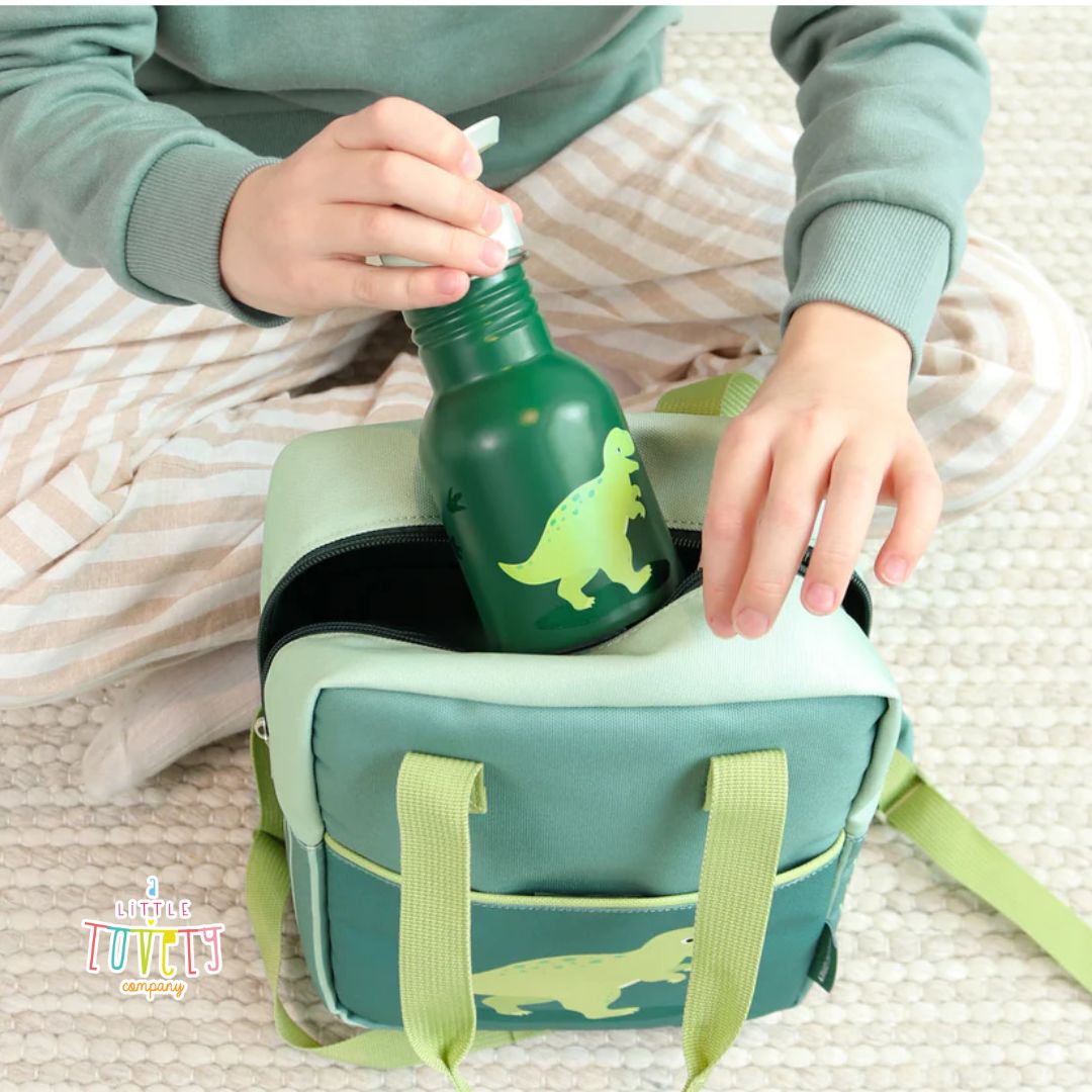 Little Stainless Steel Drink Bottle - Dinosaur