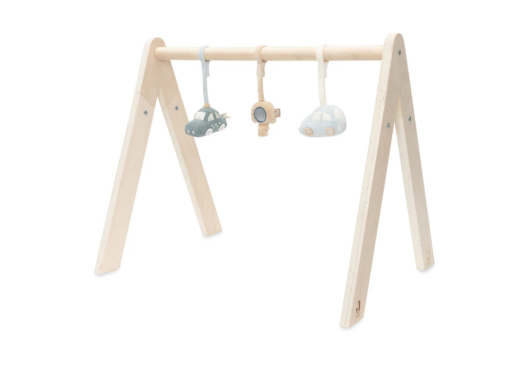 Babygym Toys  - On The Go