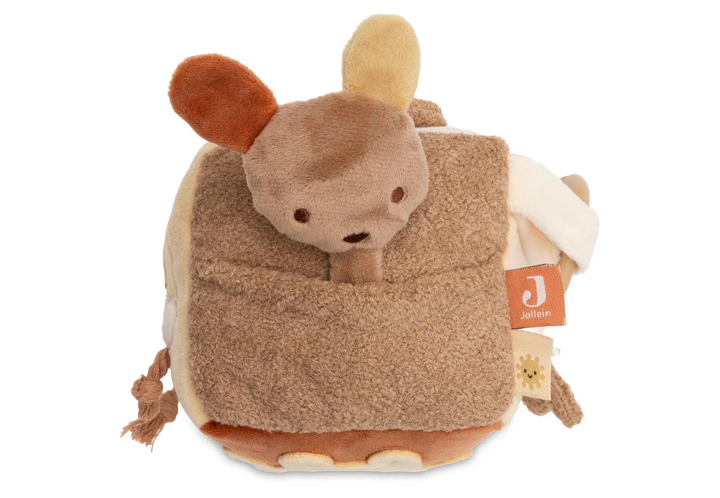 Activity Cube - Kangaroots