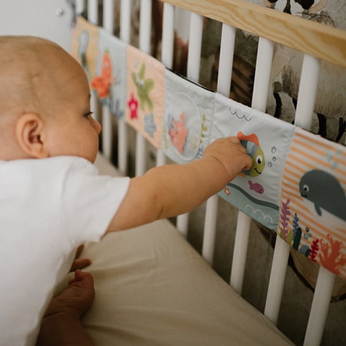 Double Sided Sesnory Book