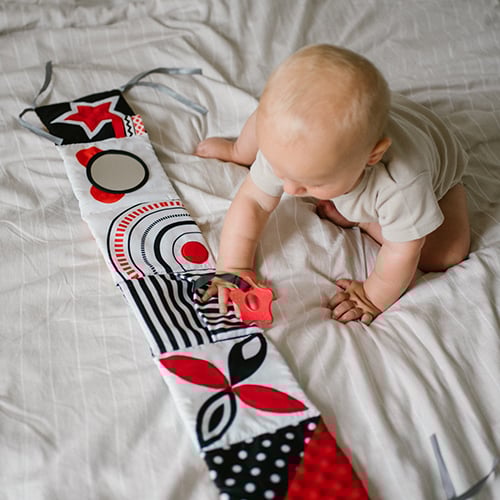 Double Sided Sesnory Book