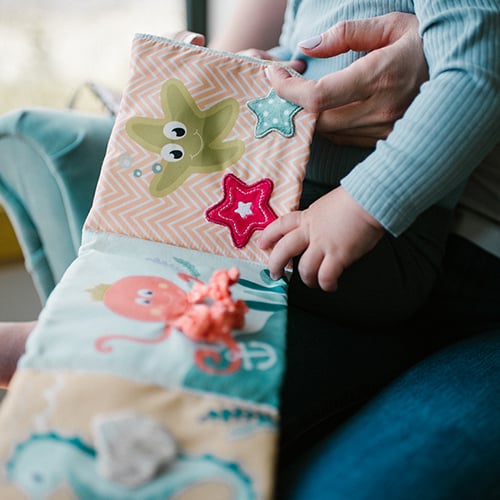 Double Sided Sesnory Book