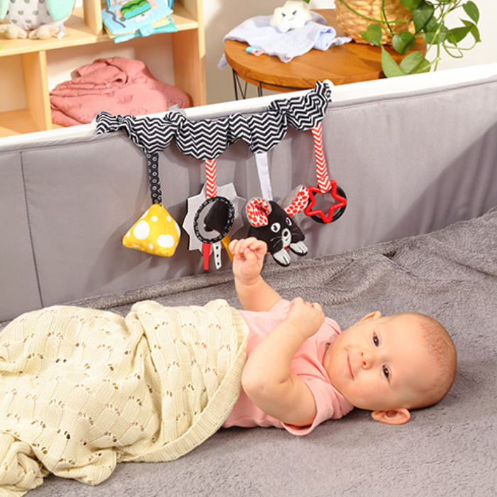 Educational Baby Toy - Cheese & Skip