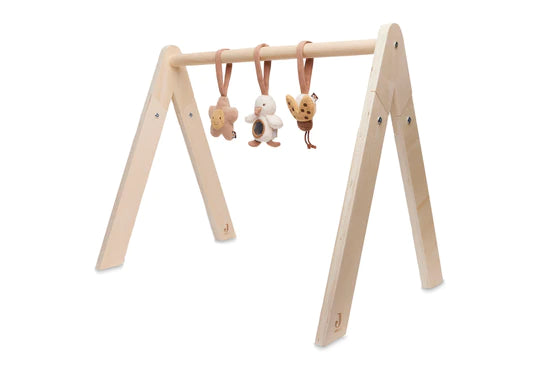 Babygym Toys