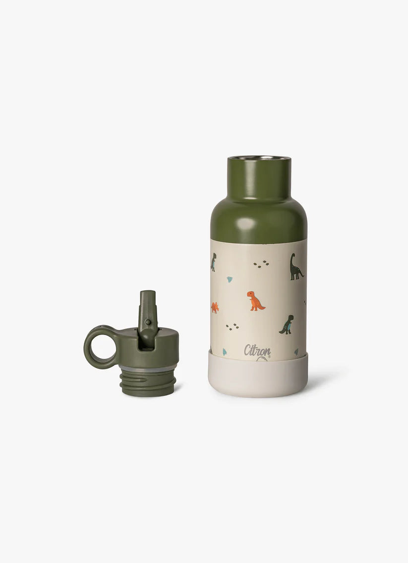 Water Bottle - 350ml - Dino Green