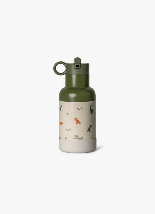 Water Bottle - 350ml - Dino Green