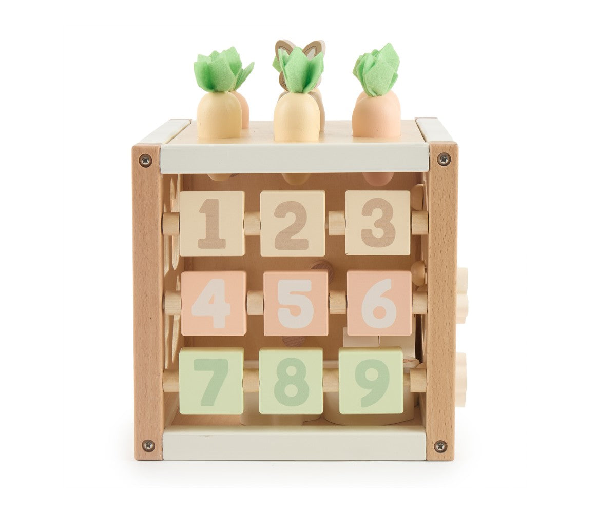 Motor Skills Cube Fine
