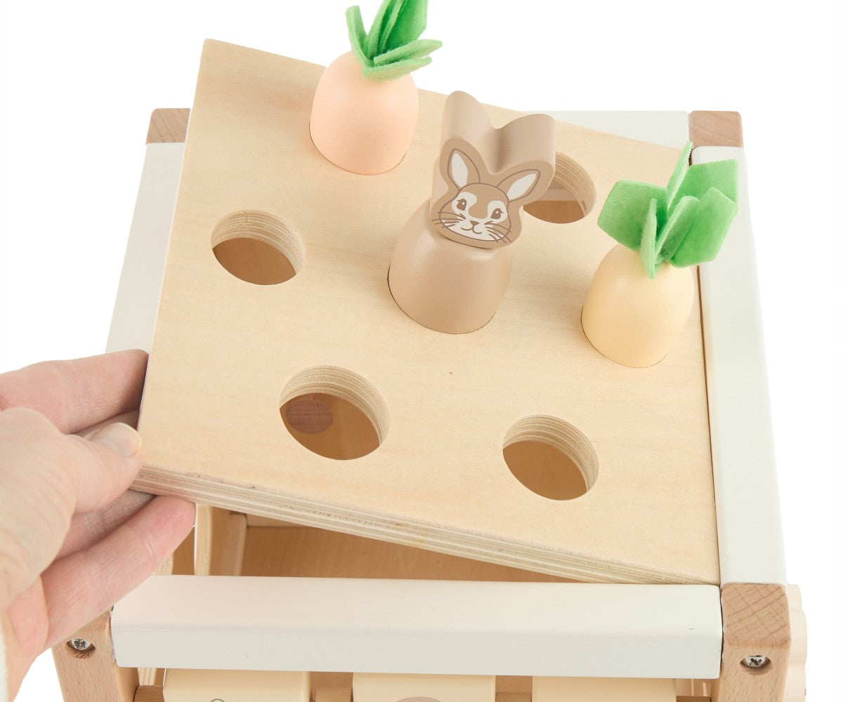 Motor Skills Cube Fine