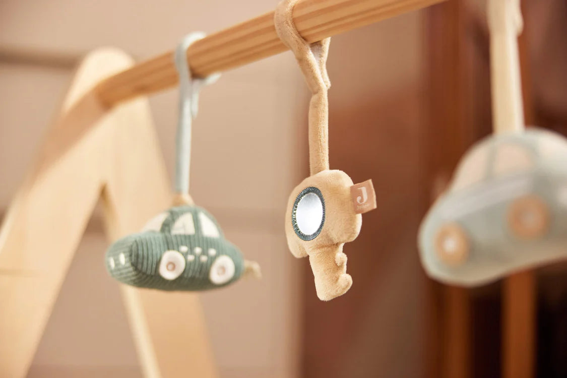 Babygym Toys  - On The Go