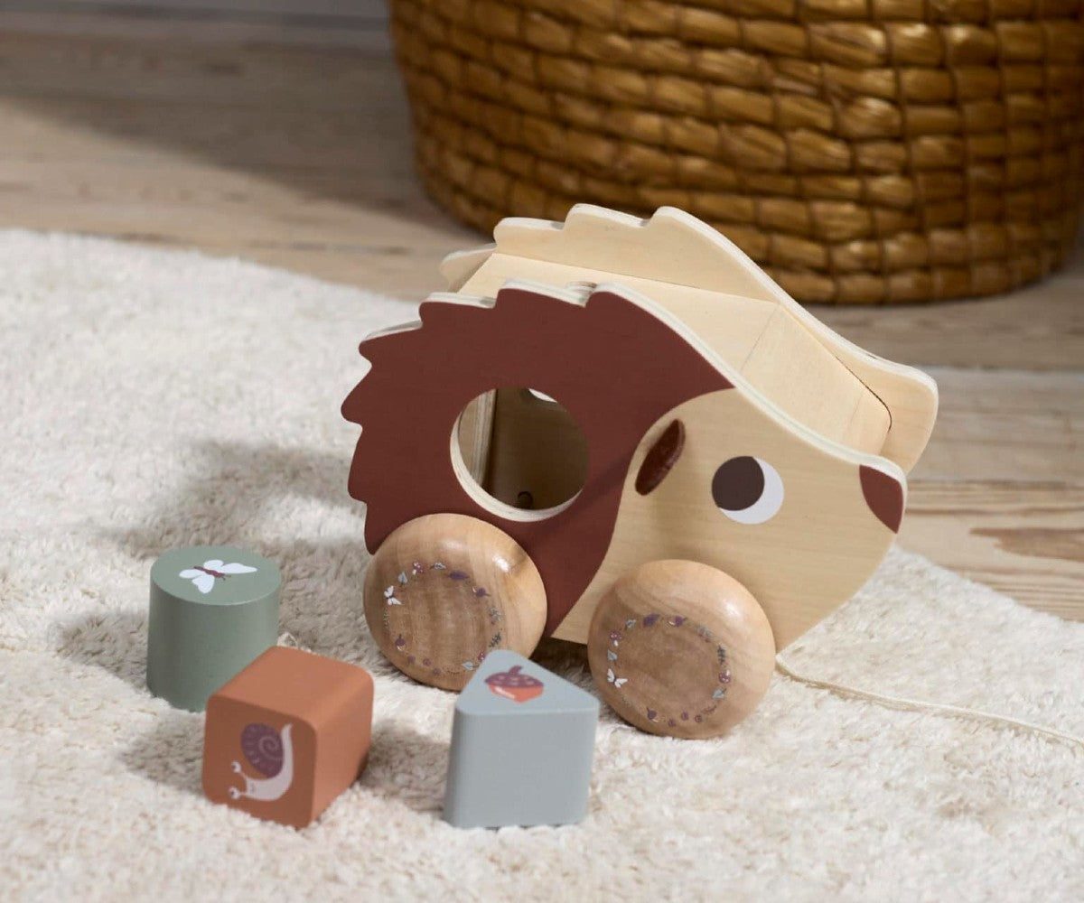 Pull Along Hedgehog