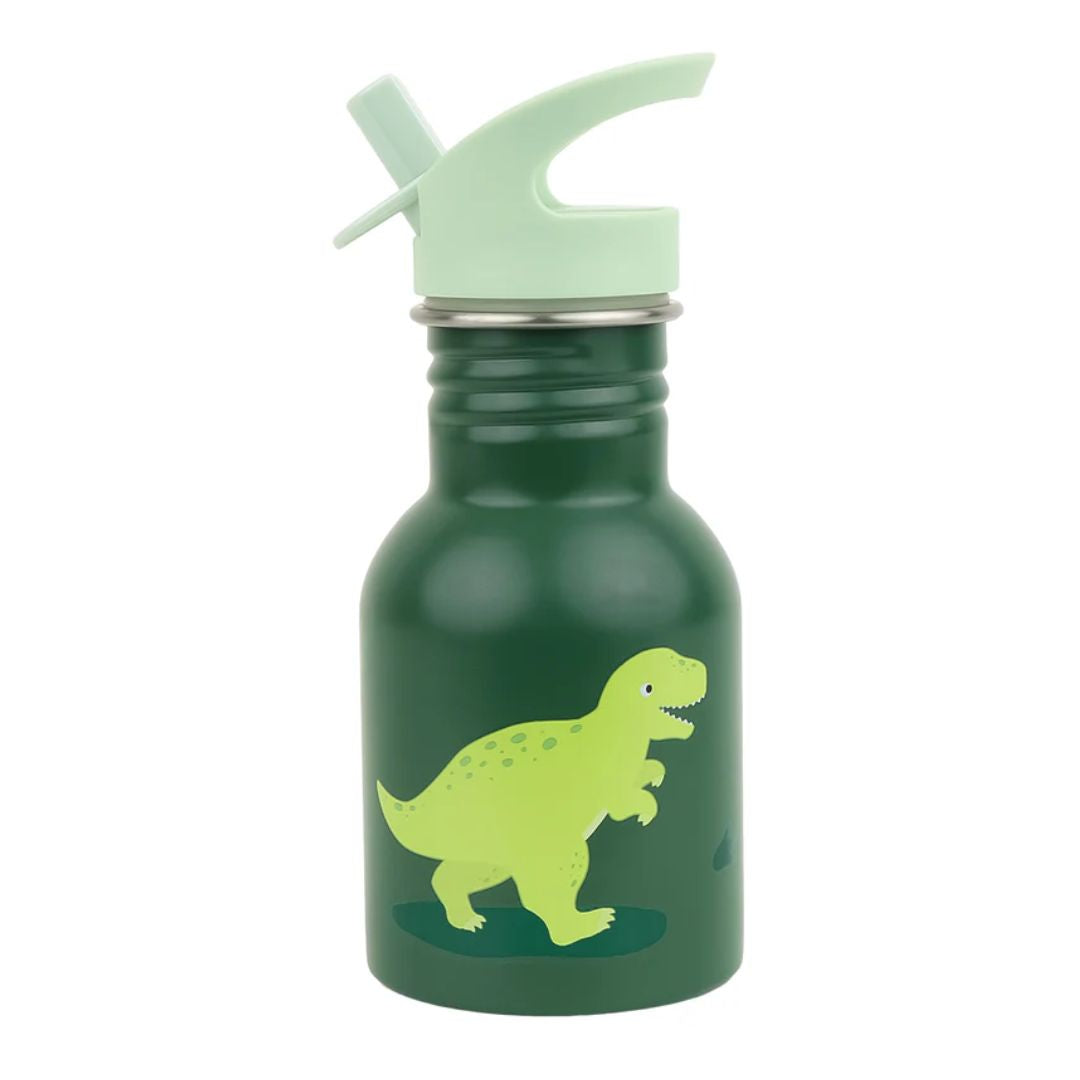 Little Stainless Steel Drink Bottle - Dinosaur