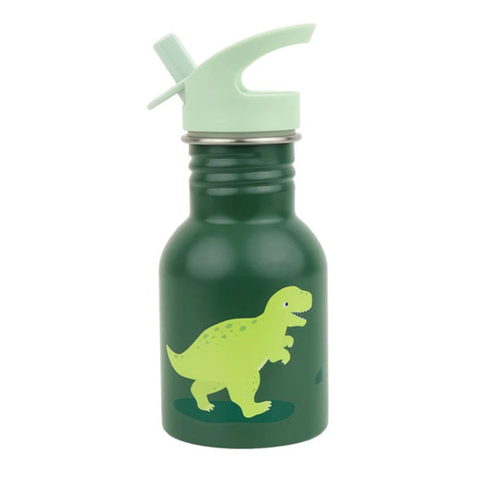 Little Stainless Steel Drink Bottle - Dinosaur