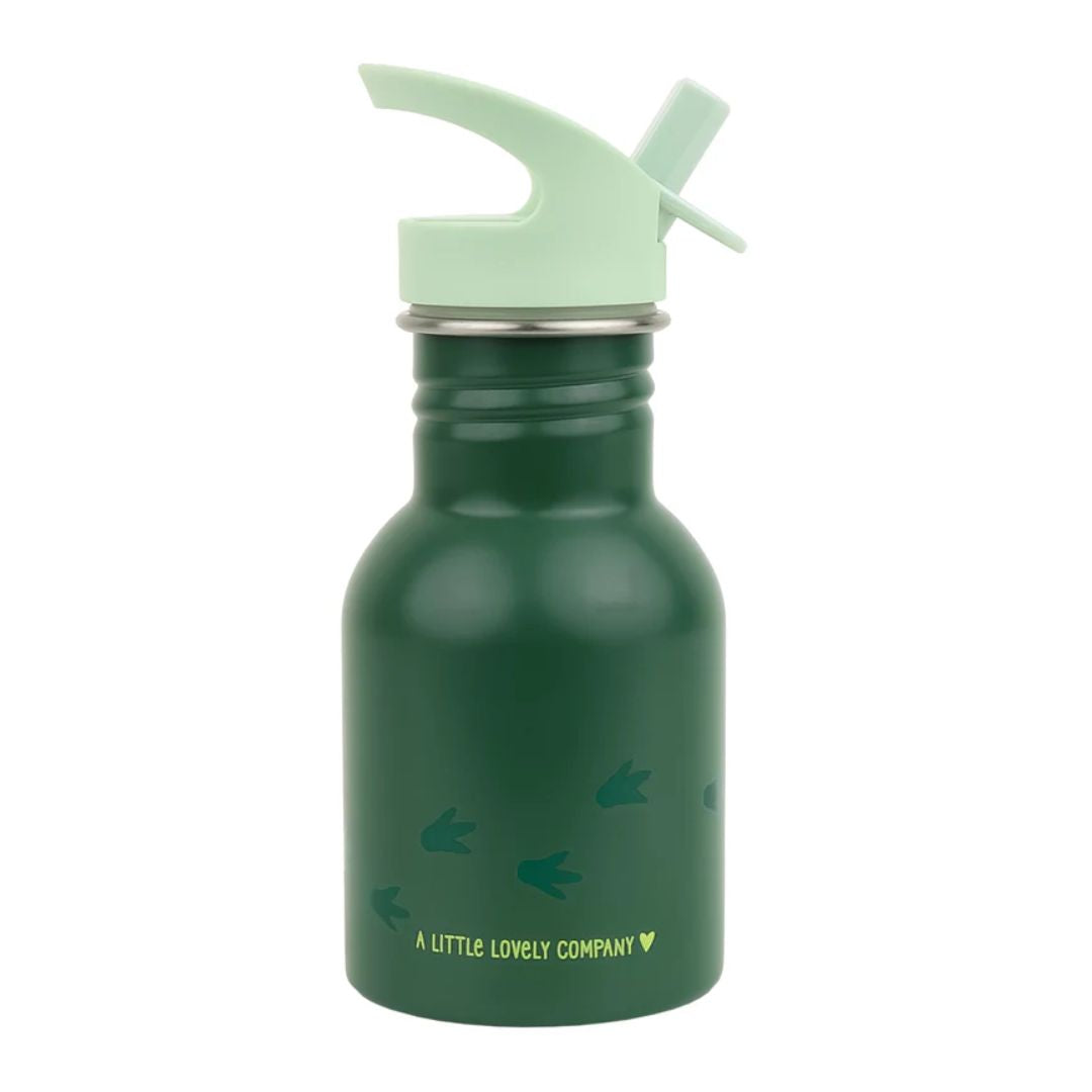 Little Stainless Steel Drink Bottle - Dinosaur