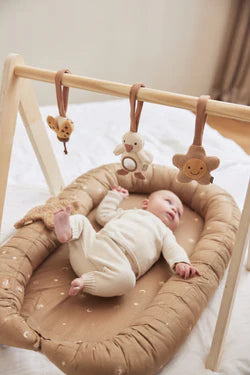 Babygym Toys