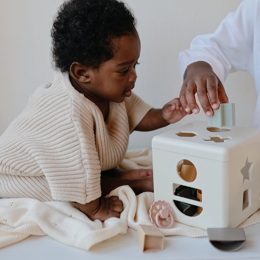 Shape Sorting Box Mushie