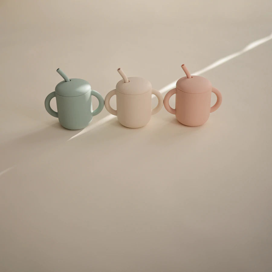 Silicone Training Cup + Straw Blush Mushie