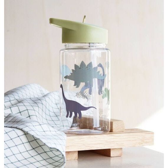 Drink Bottle Dinosaurs